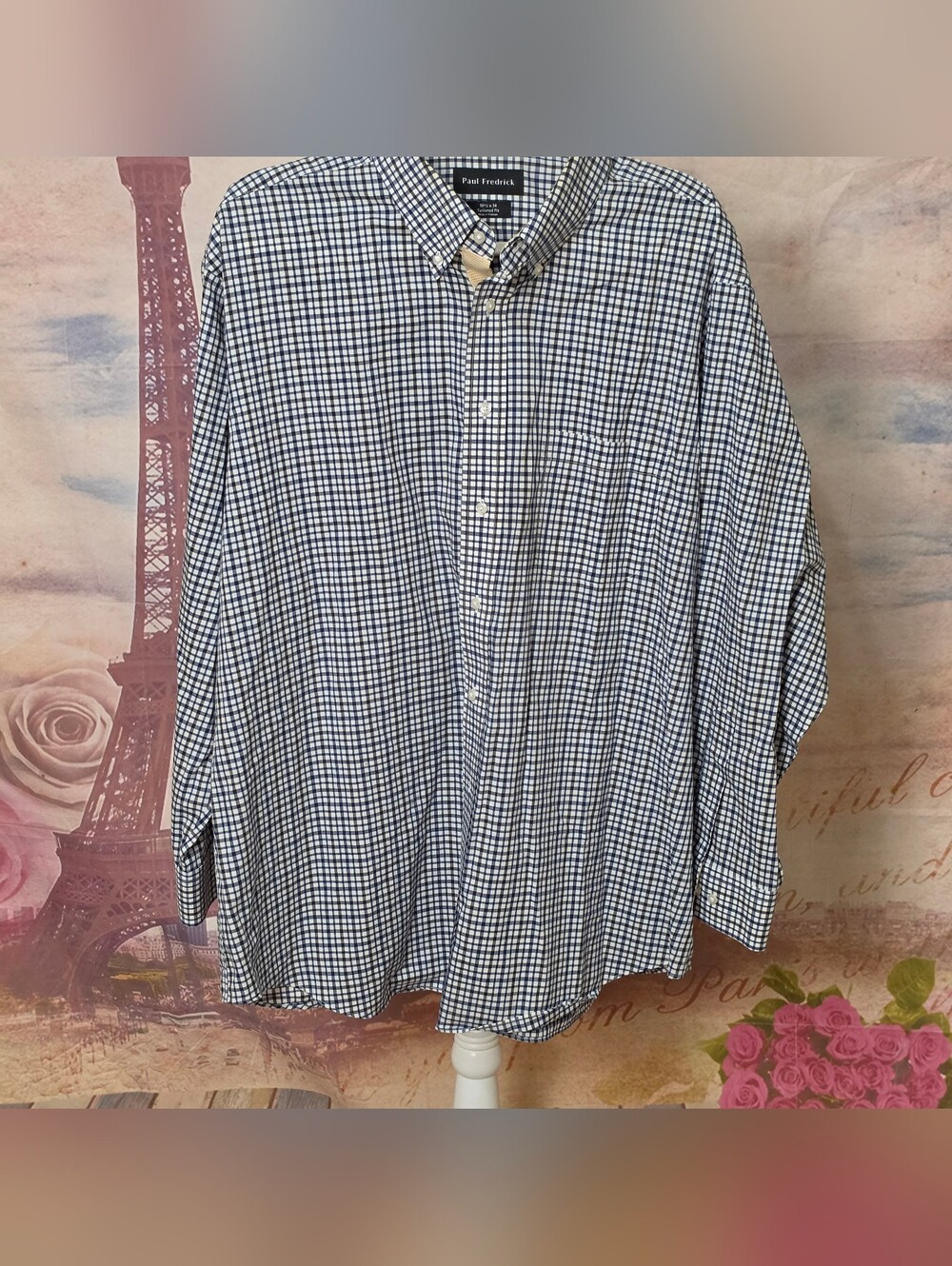 Paul Fredrick Men’s Blue and White Check Button-Down Shirt